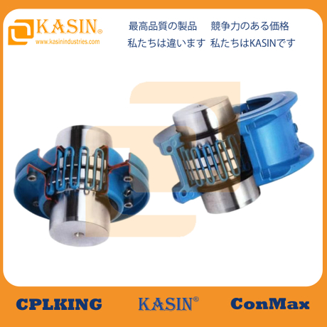 Rasterkoppelingsveer 3.jpg